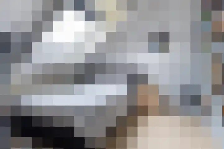 Kranenbroekhof 3 Zaandam thumbnail 27
