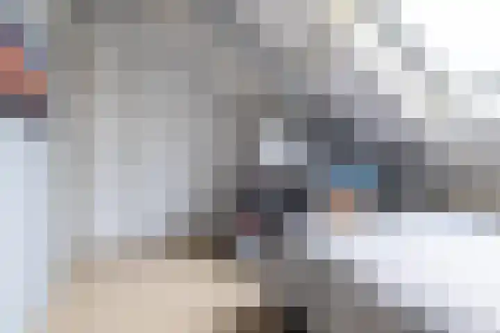 Kranenbroekhof 3 Zaandam thumbnail 28