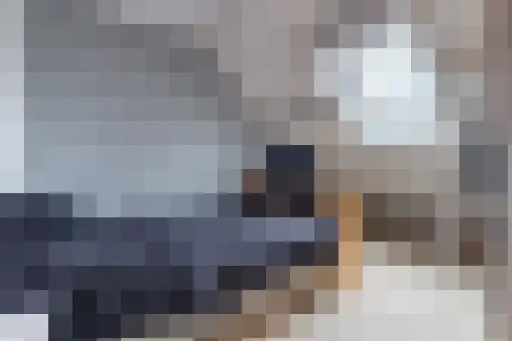 Kranenbroekhof 3 Zaandam thumbnail 30