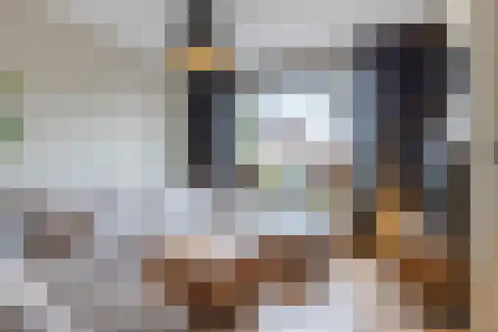 Kranenbroekhof 3 Zaandam thumbnail 4