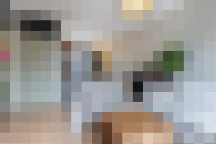 Kranenbroekhof 3 Zaandam thumbnail 5