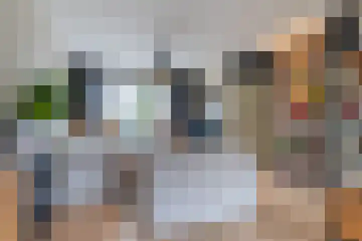 Kranenbroekhof 3 Zaandam thumbnail 6