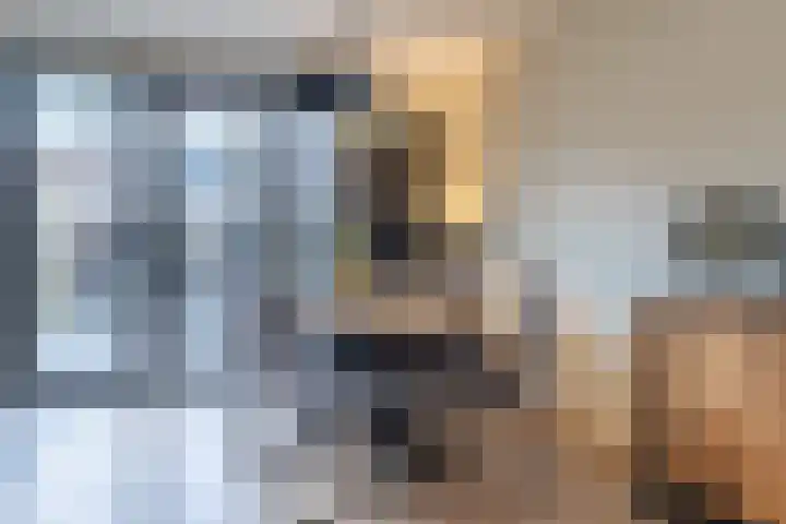 Kranenbroekhof 3 Zaandam thumbnail 7