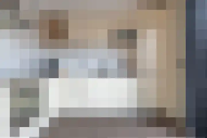 Kranenbroekhof 3 Zaandam thumbnail 9
