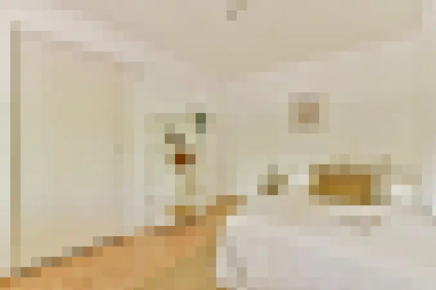 Kranenburg 19 Amsterdam thumbnail 20