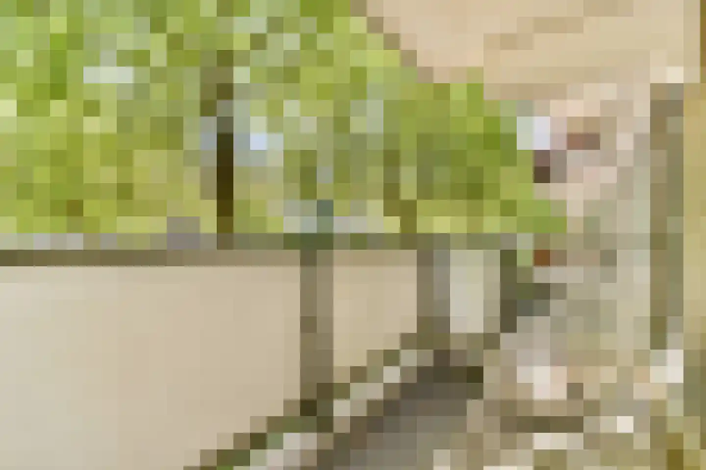Kranenburg 19 Amsterdam thumbnail 7