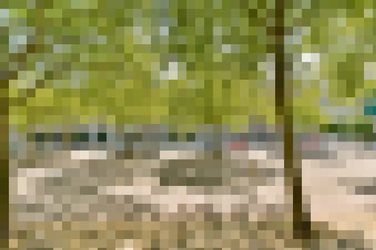 Kranenburg 19 Amsterdam thumbnail 8
