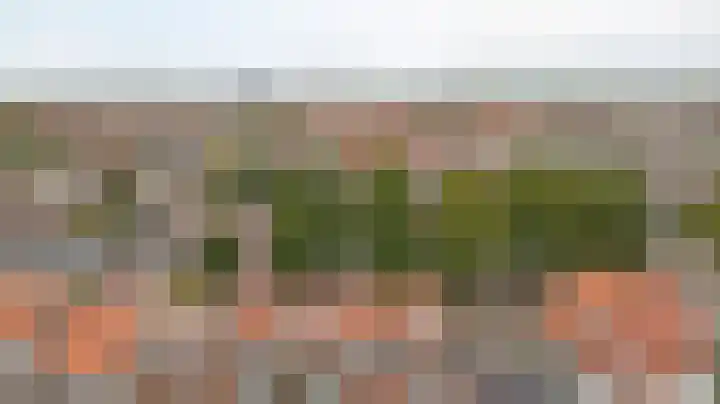 Kranenburg 2 Bleiswijk thumbnail 15