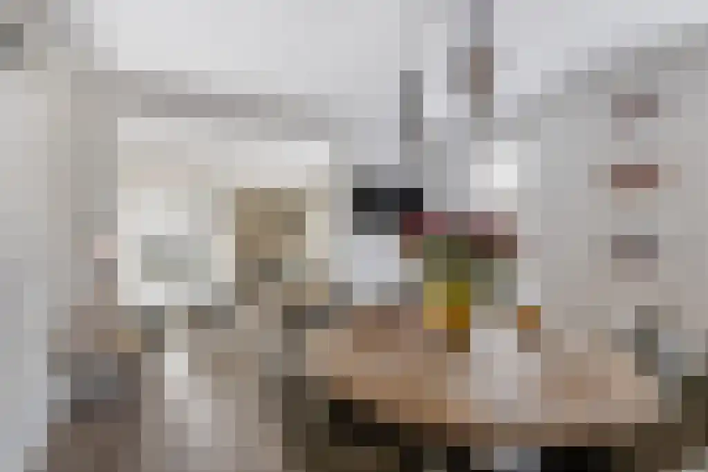 Kranenburg 2 Bleiswijk thumbnail 20