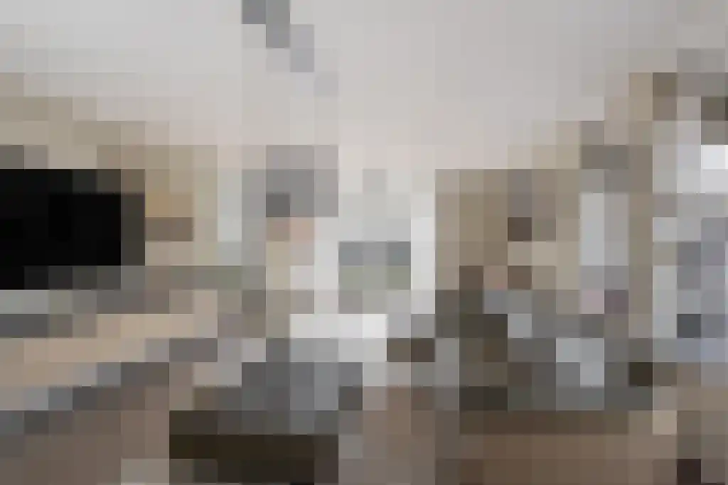 Kranenburg 2 Bleiswijk thumbnail 22