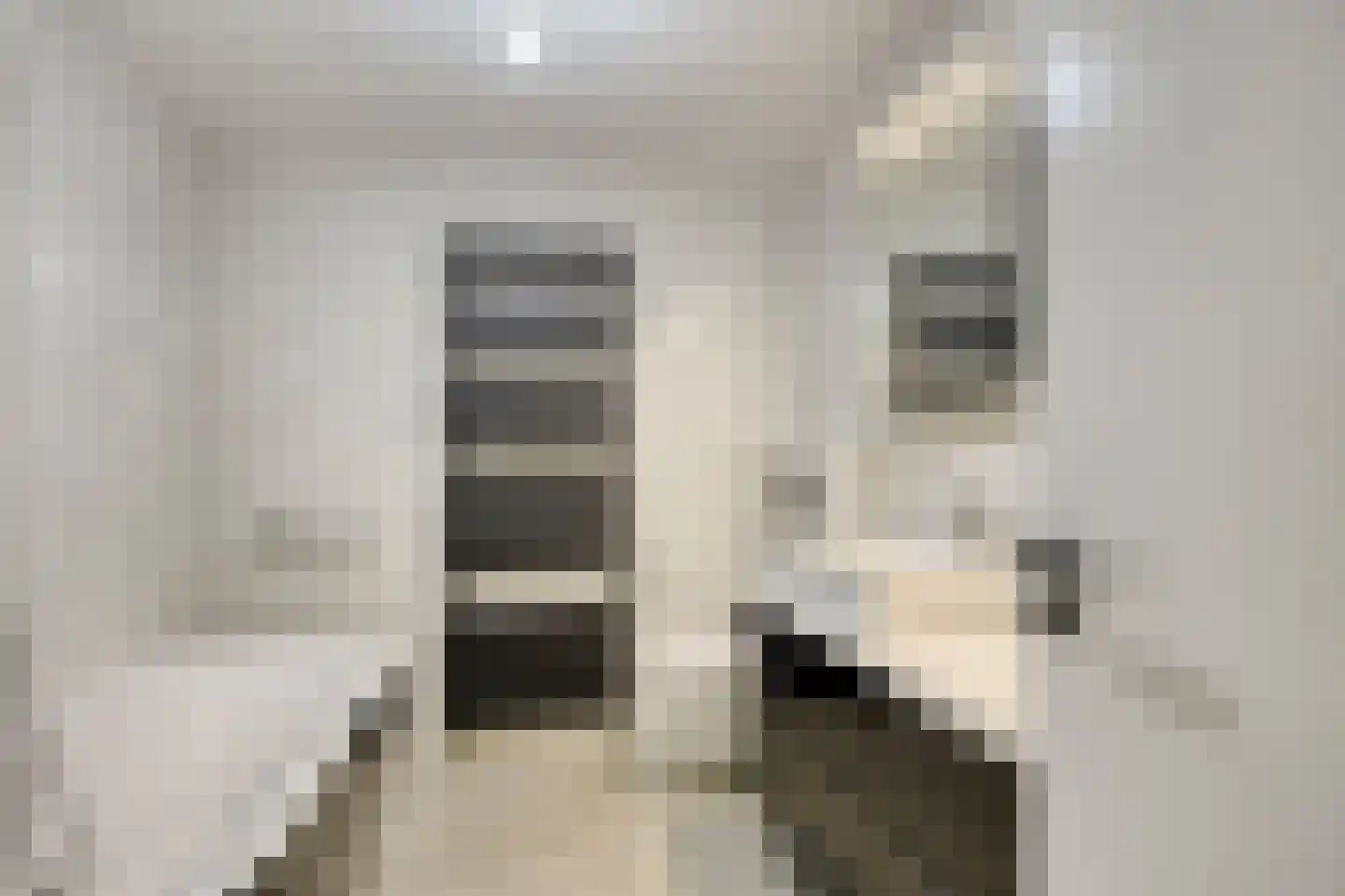 Kranenburg 2 Bleiswijk thumbnail 34