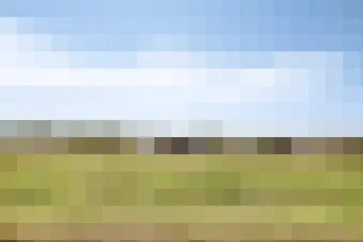 Kranenburg 2 Bleiswijk thumbnail 47