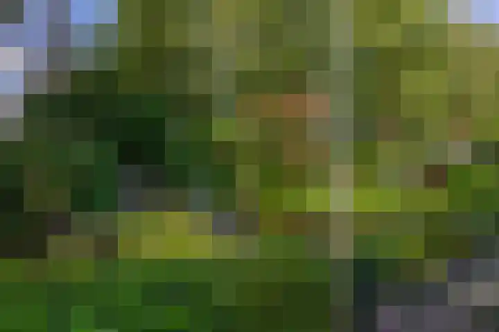 Kranenburg 2 Bleiswijk thumbnail 6