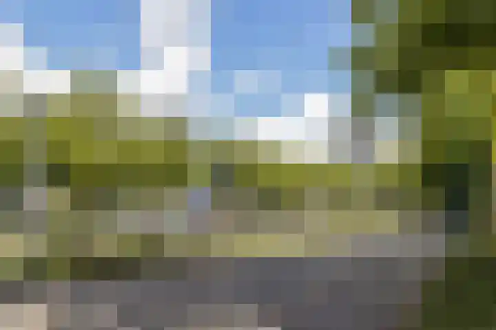 Kranenburg 22 Amsterdam thumbnail 21