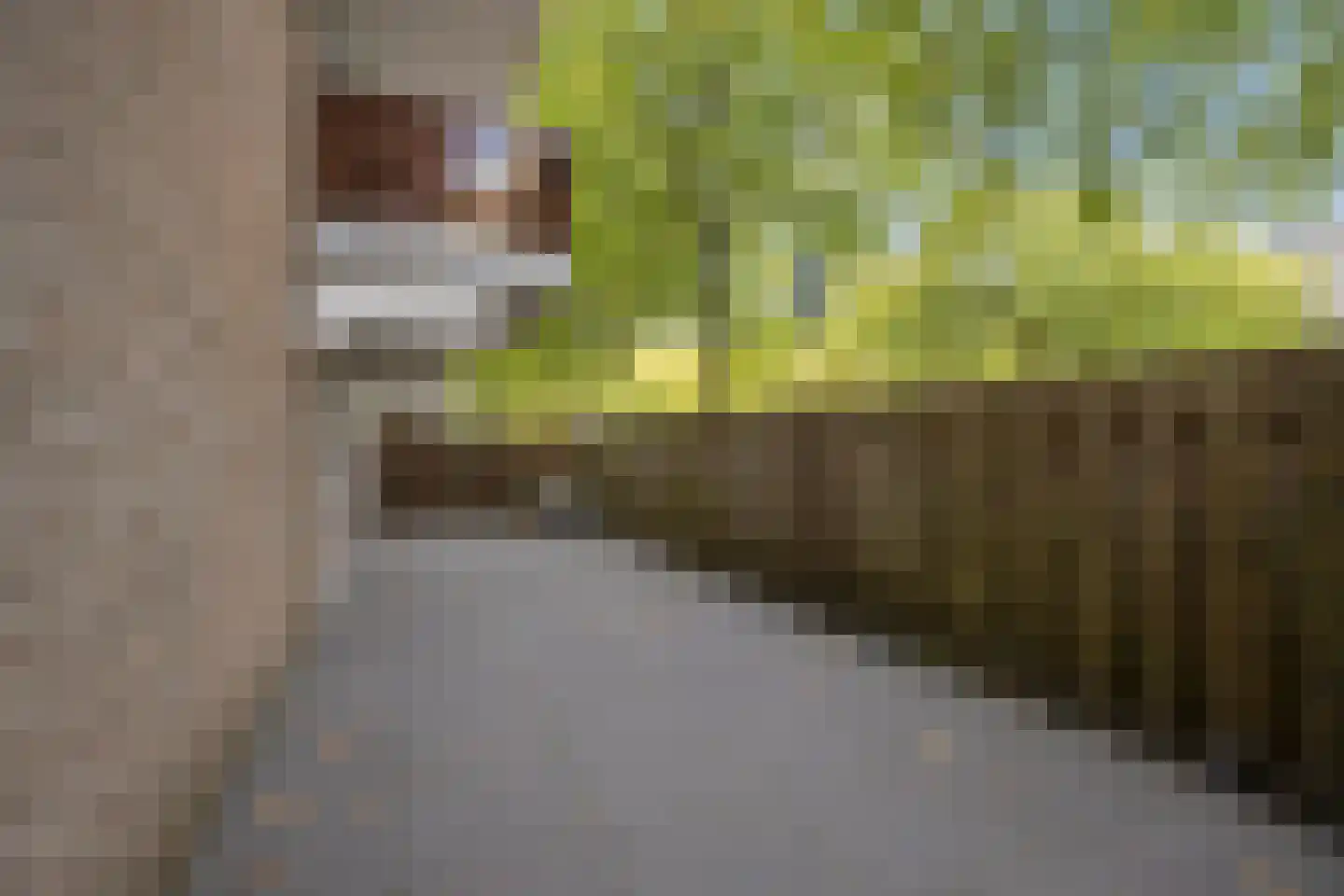 Kranenburg 29 Amsterdam thumbnail 7