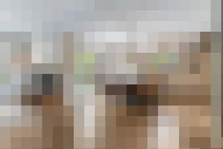 Kranenburglaan 70 Naaldwijk thumbnail 10
