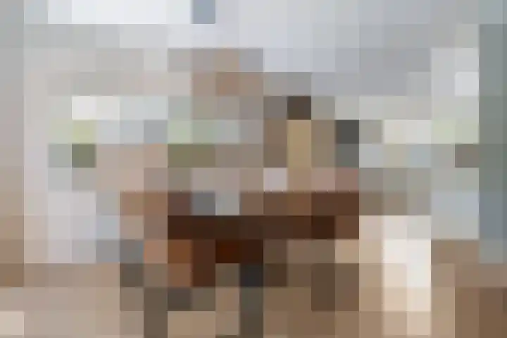 Kranenburglaan 70 Naaldwijk thumbnail 11