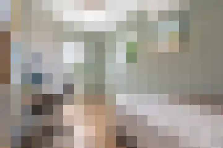 Kranenburglaan 70 Naaldwijk thumbnail 26