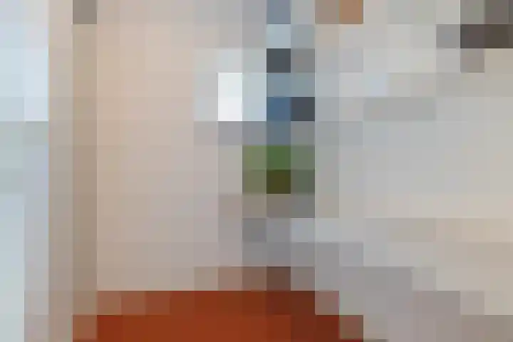 Kranenburglaan 70 Naaldwijk thumbnail 30
