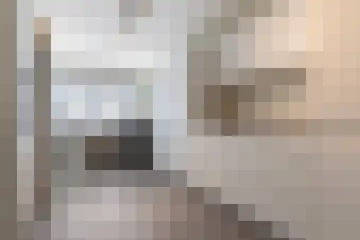 Kranenburglaan 70 Naaldwijk thumbnail 33