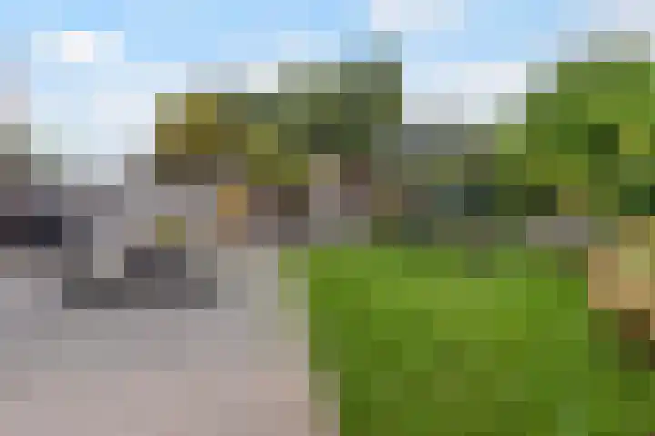 Kranenburglaan 70 Naaldwijk thumbnail 36
