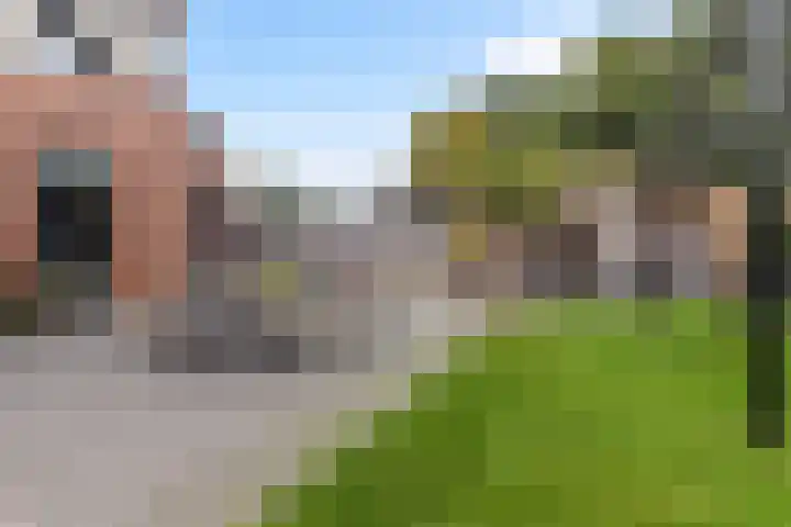 Kranenburglaan 70 Naaldwijk thumbnail 40