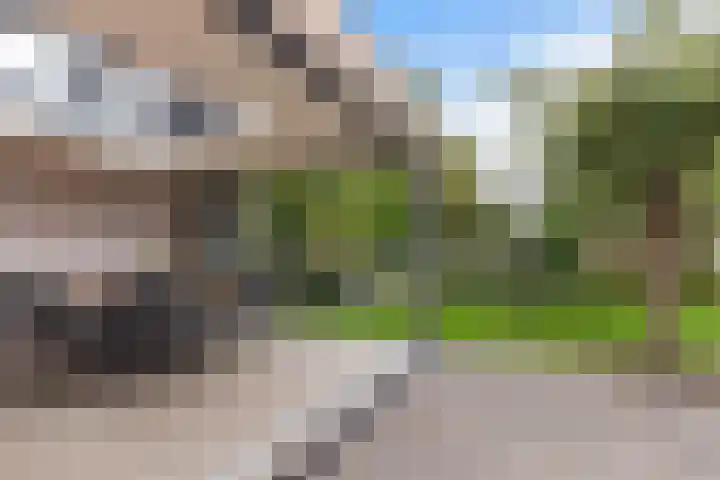 Kranenburglaan 70 Naaldwijk thumbnail 42