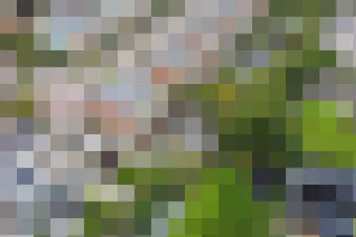 Kranenburglaan 70 Naaldwijk thumbnail 48