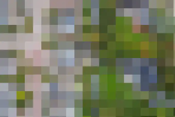 Kranenburglaan 70 Naaldwijk thumbnail 49