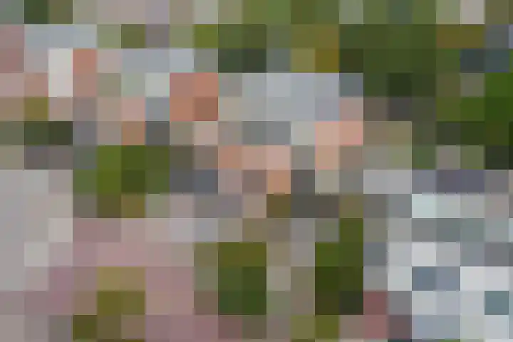 Kranenburglaan 70 Naaldwijk thumbnail 50