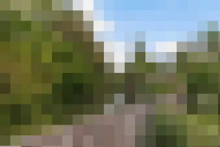 Kranenburglaan 70 Naaldwijk thumbnail 51