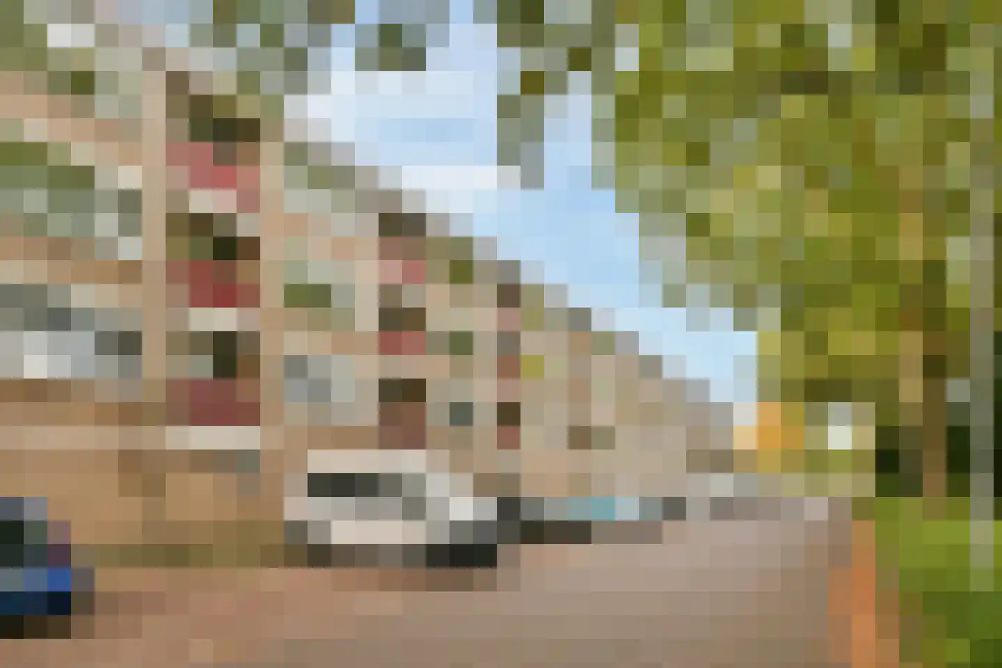 Kranenburgstraat 10 Dordrecht thumbnail 7