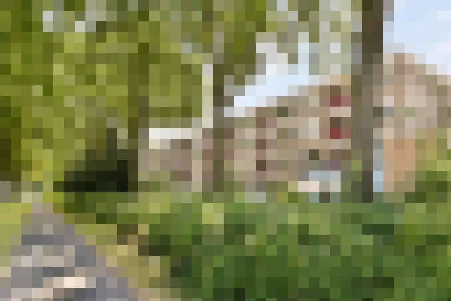 Kranenburgstraat 62 Dordrecht thumbnail 18