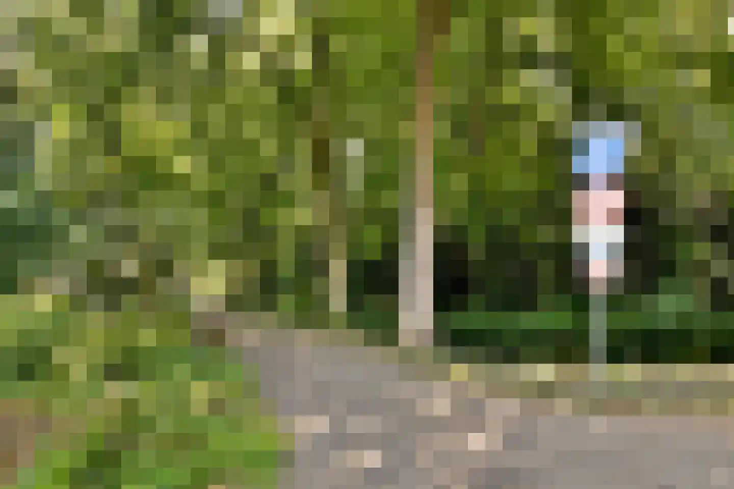 Kranenburgstraat 62 Dordrecht thumbnail 22