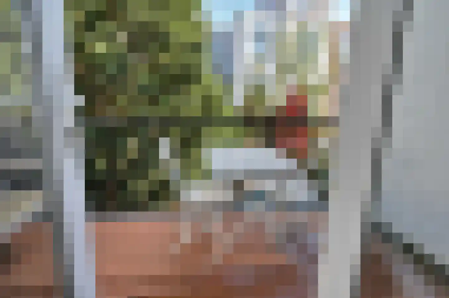 Kranenburgweg 22 A Den Haag thumbnail 16
