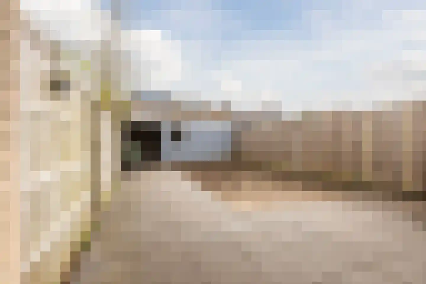 Kranendonk 16 Oosterhout thumbnail 39