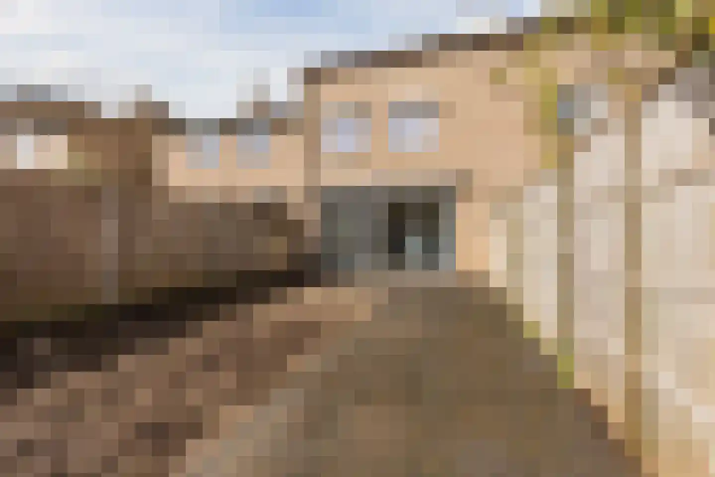 Kranendonk 16 Oosterhout thumbnail 4