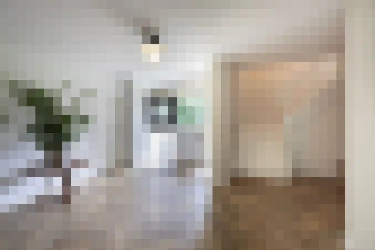 Kranenhofscheweg 1 Escharen thumbnail 11