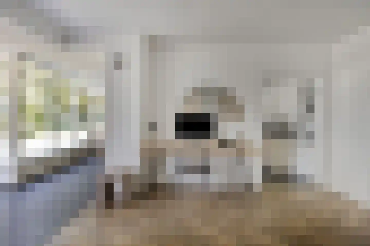 Kranenhofscheweg 1 Escharen thumbnail 13