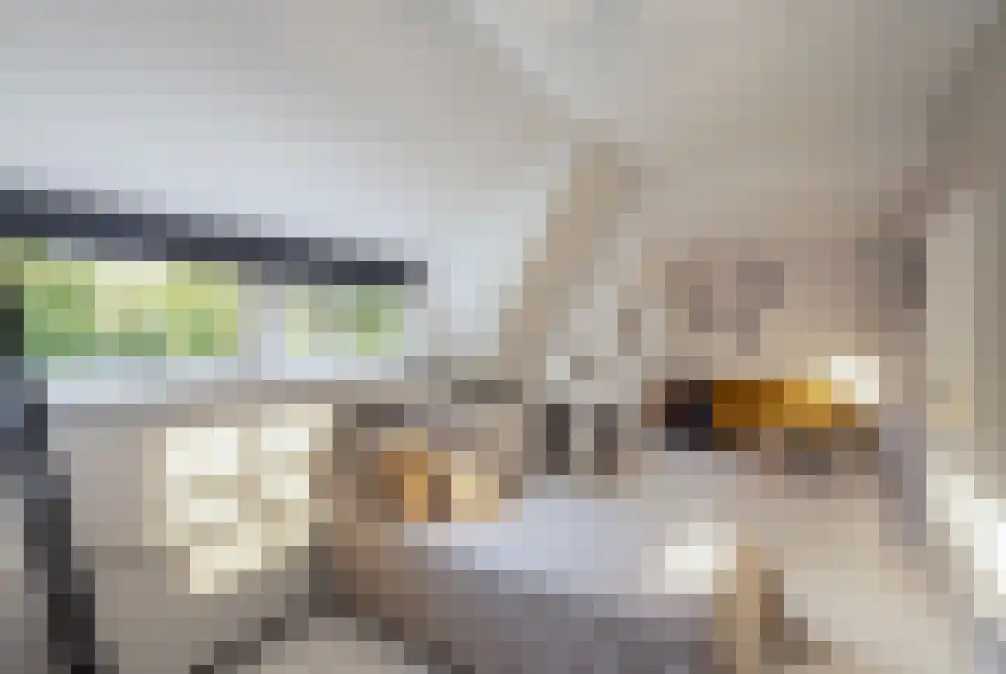 Kranenhofscheweg 1 Escharen thumbnail 16