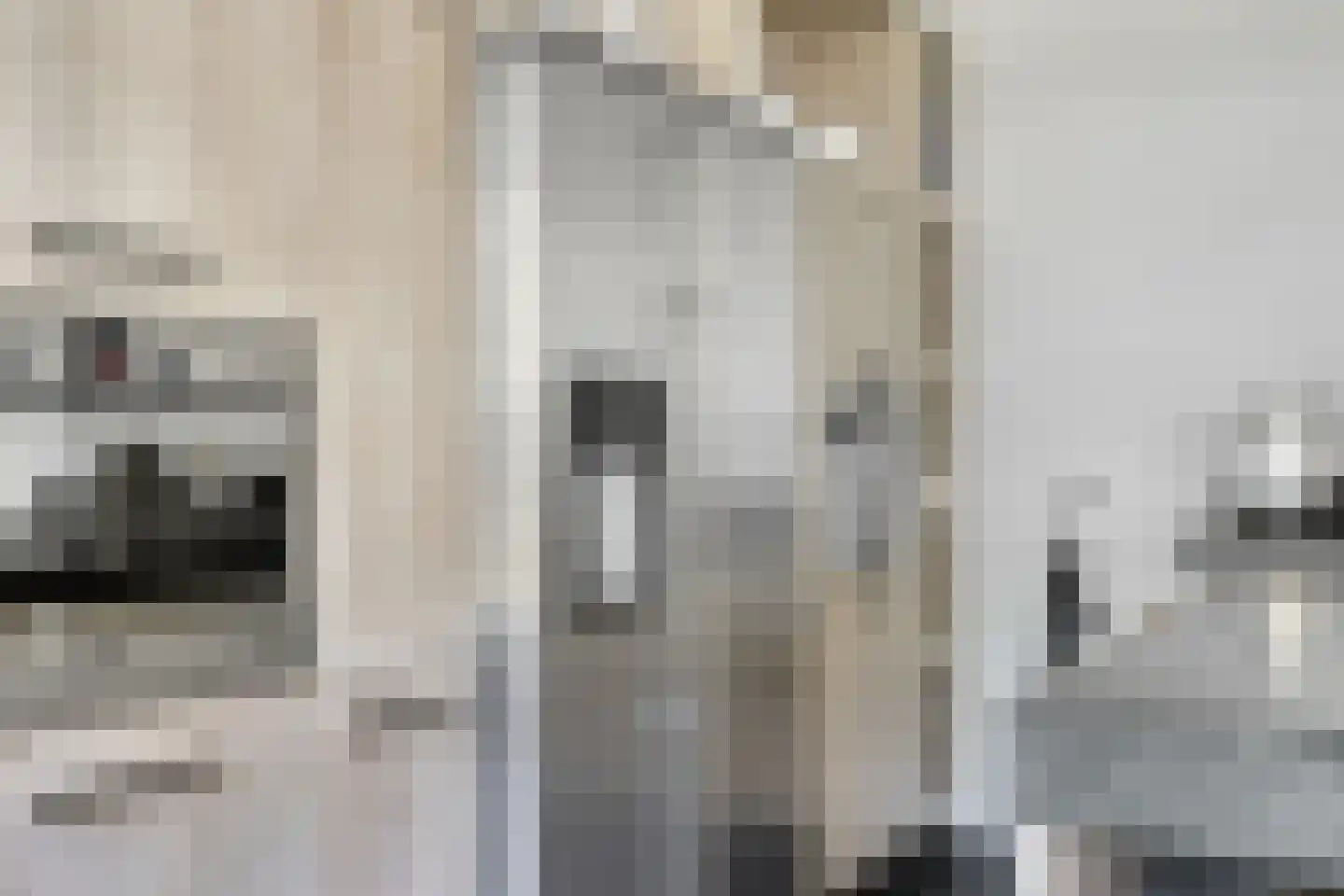 Kranenhofscheweg 1 Escharen thumbnail 17