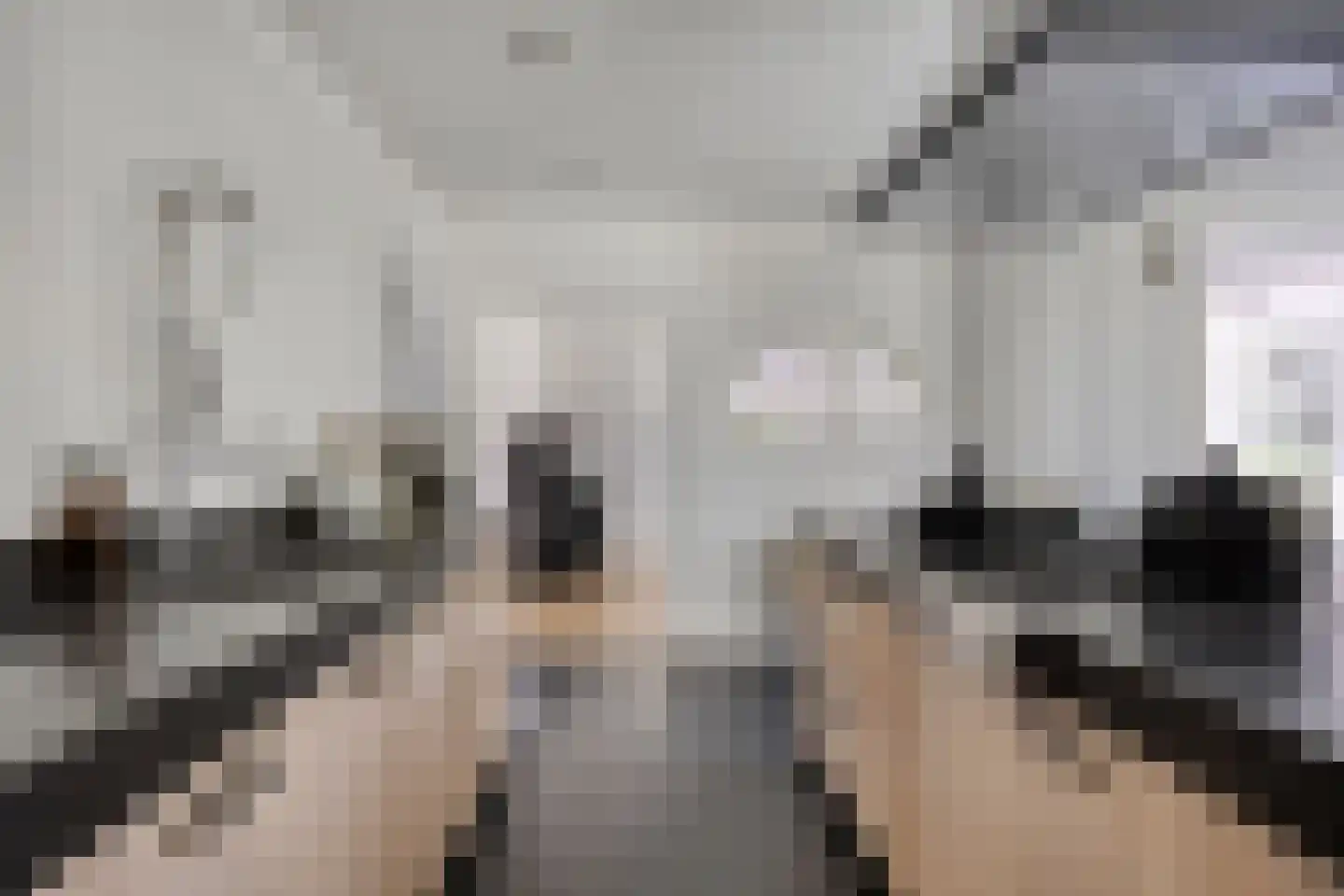 Kranenhofscheweg 1 Escharen thumbnail 18
