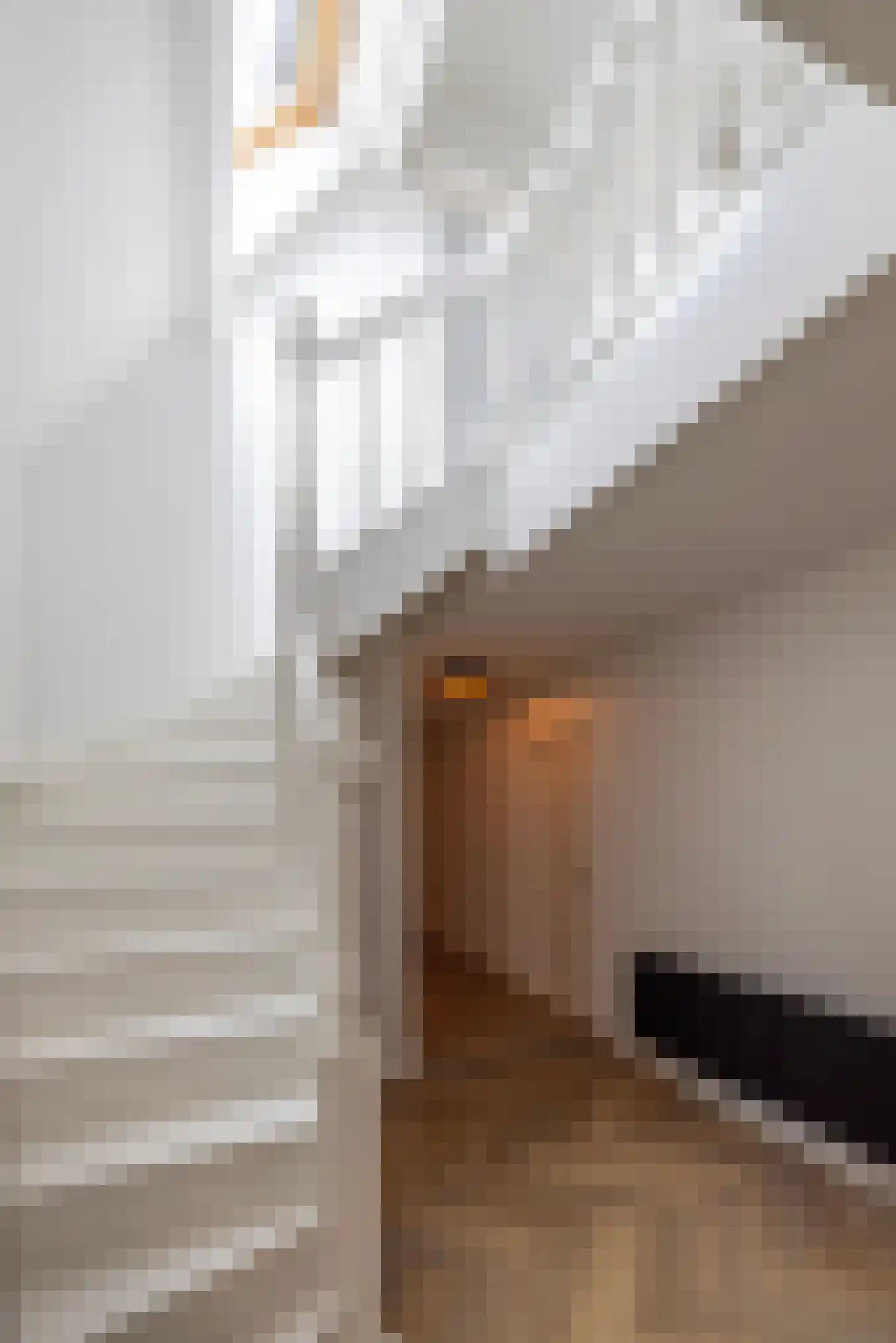 Kranenhofscheweg 1 Escharen thumbnail 19