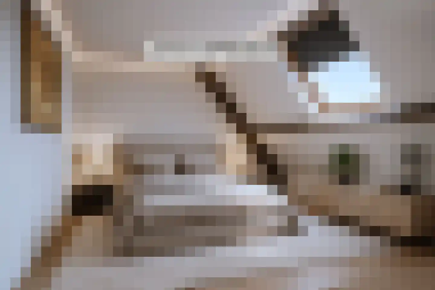 Kranenhofscheweg 1 Escharen thumbnail 22