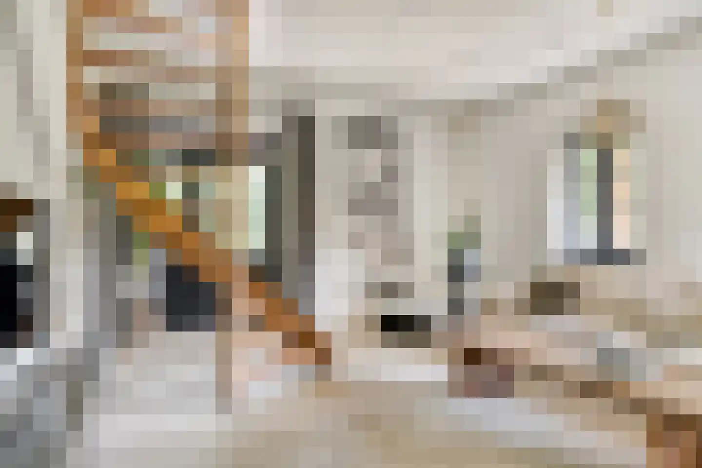 Kranenhofscheweg 1 Escharen thumbnail 24