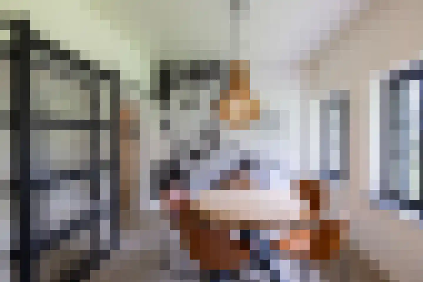 Kranenhofscheweg 1 Escharen thumbnail 25