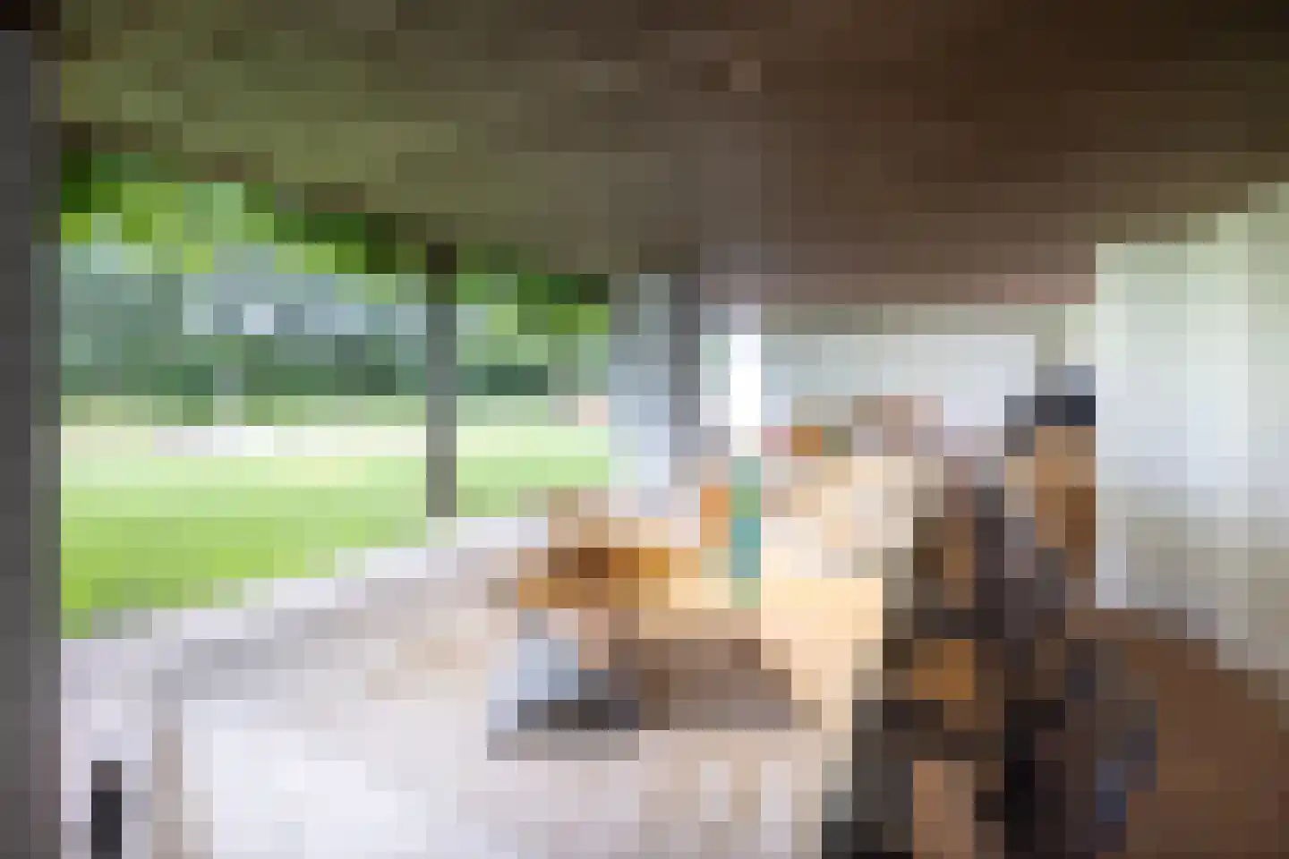 Kranenhofscheweg 1 Escharen thumbnail 27