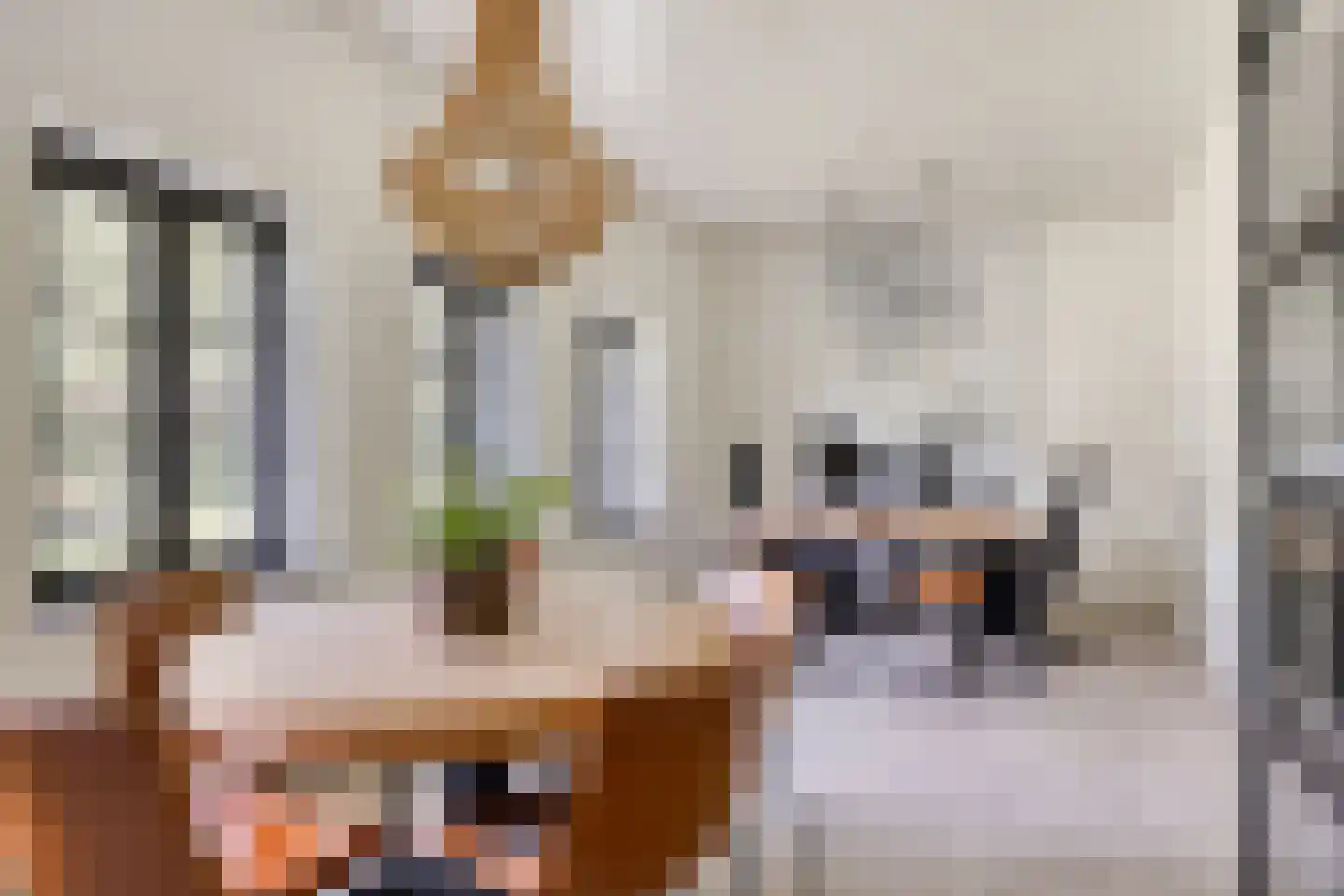 Kranenhofscheweg 1 Escharen thumbnail 27