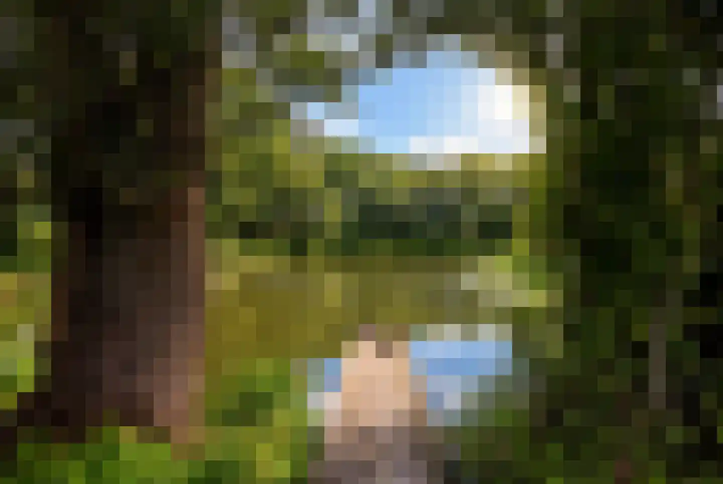Kranenhofscheweg 1 Escharen thumbnail 29