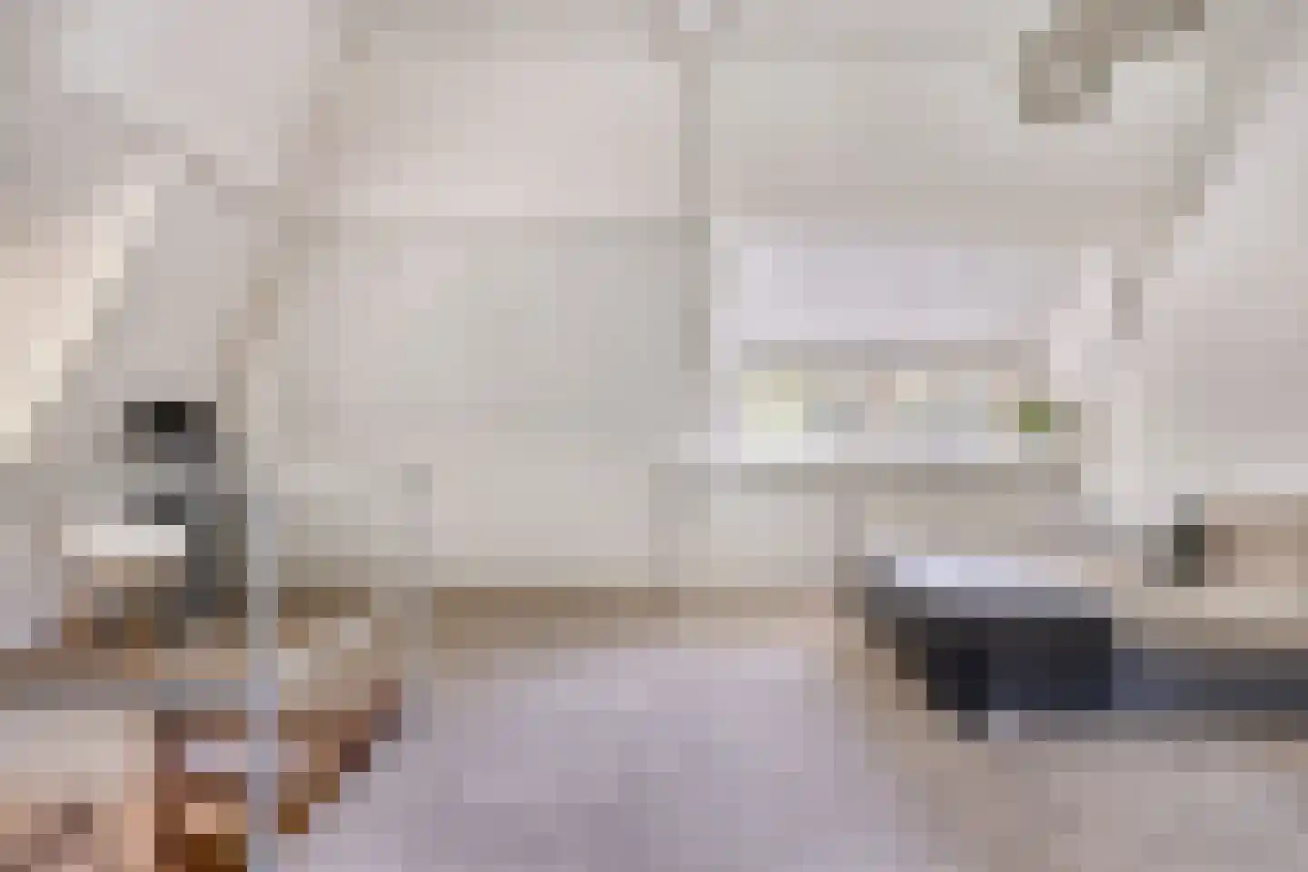 Kranenhofscheweg 1 Escharen thumbnail 31